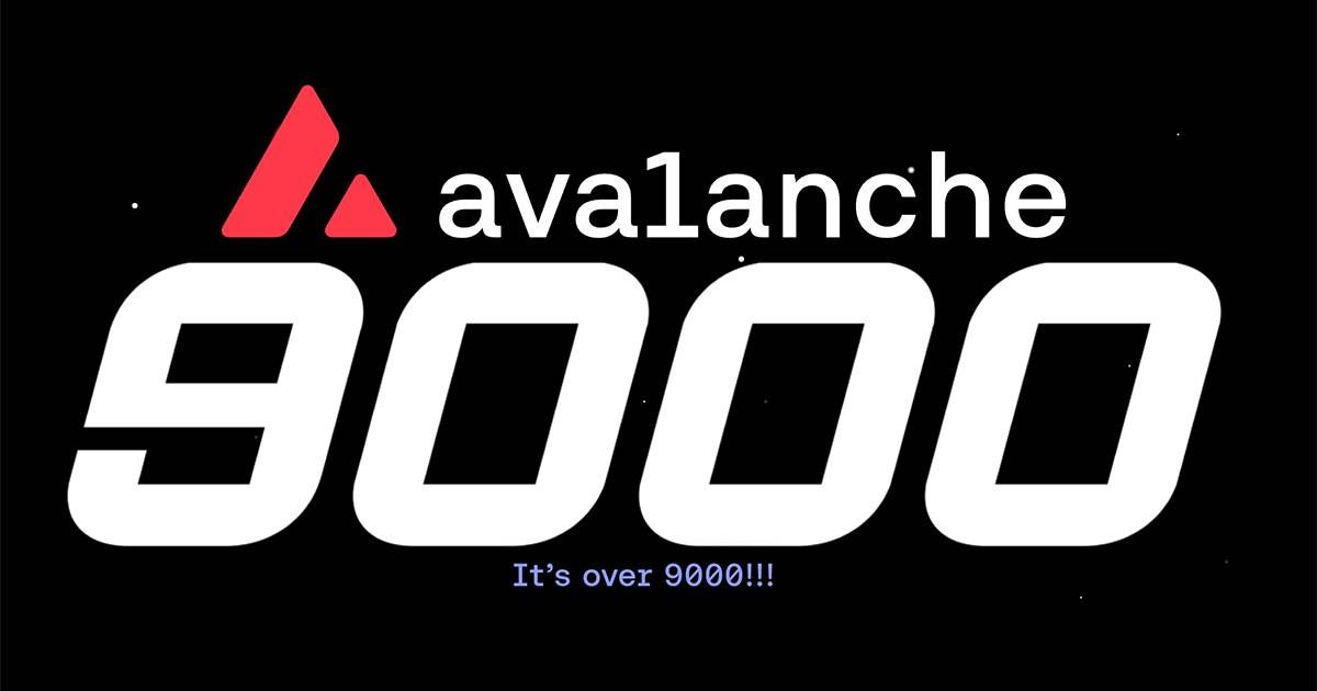 Avalanche Ecosystem Expansion