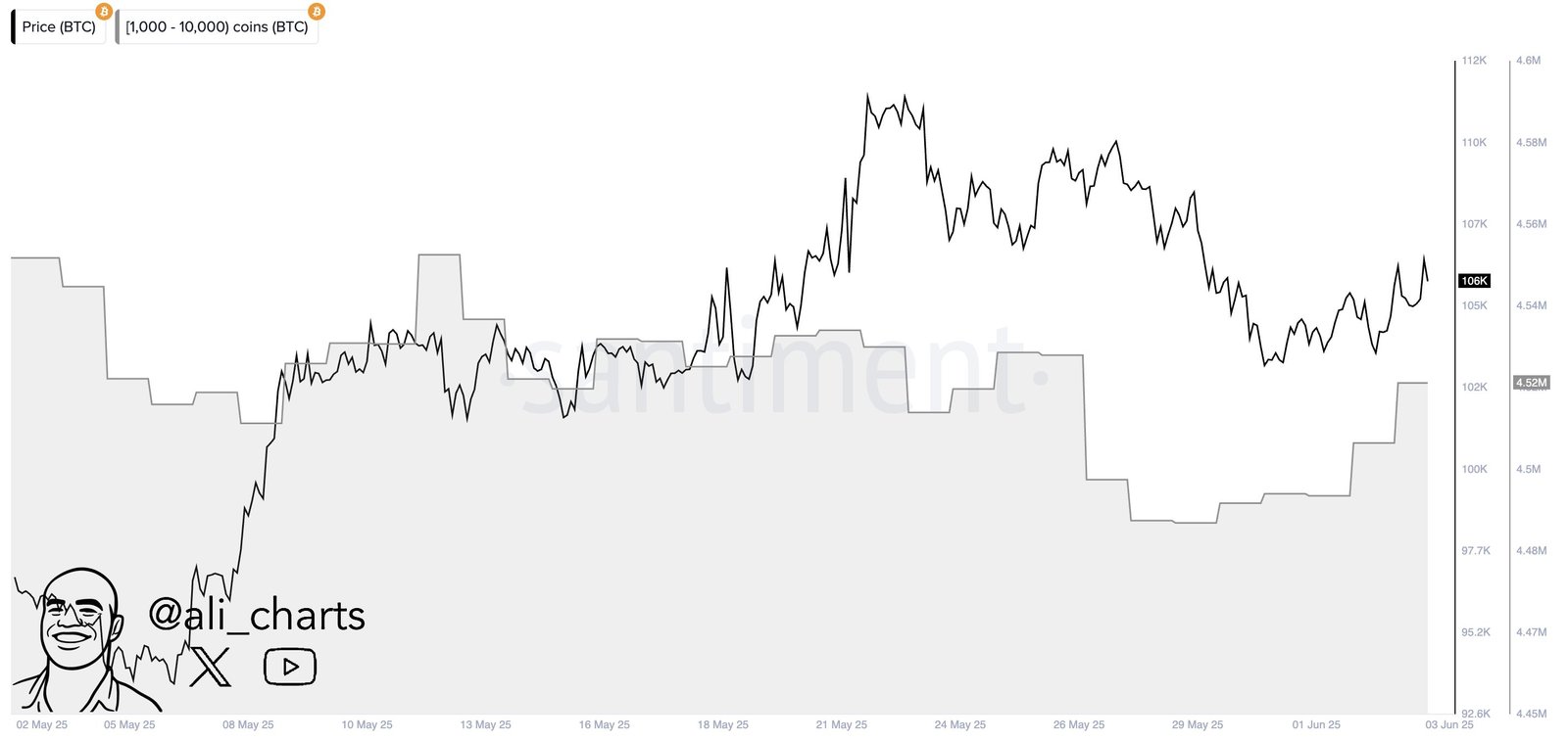 Bitcoin Whales