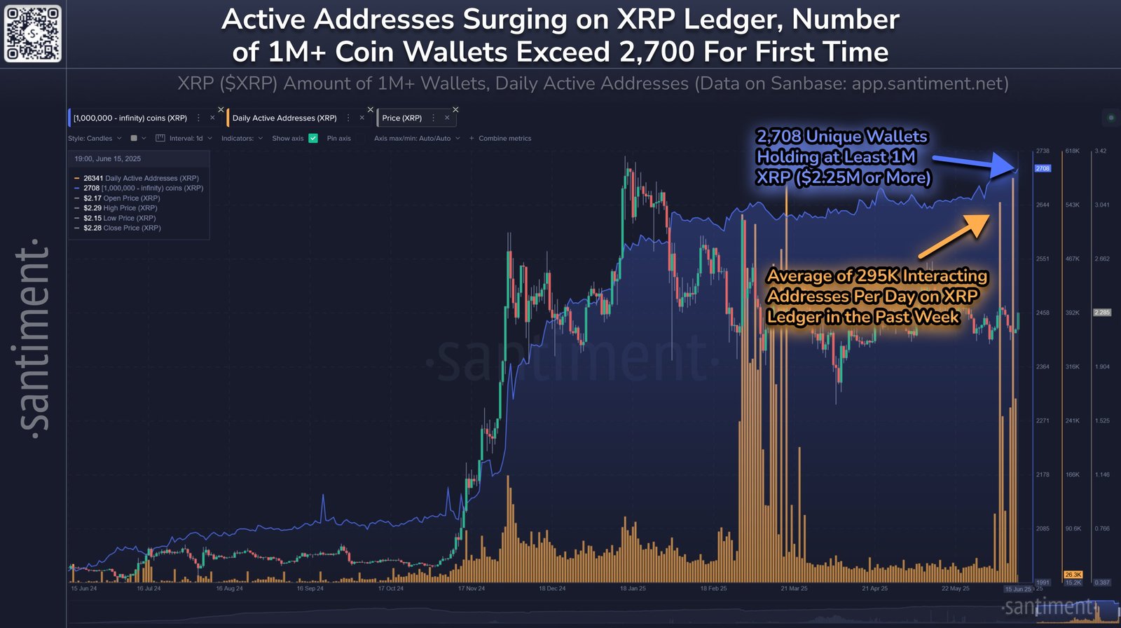 XRP Sharks & Whales