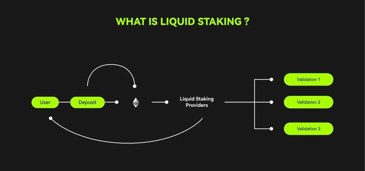 What is Liquid Staking?
