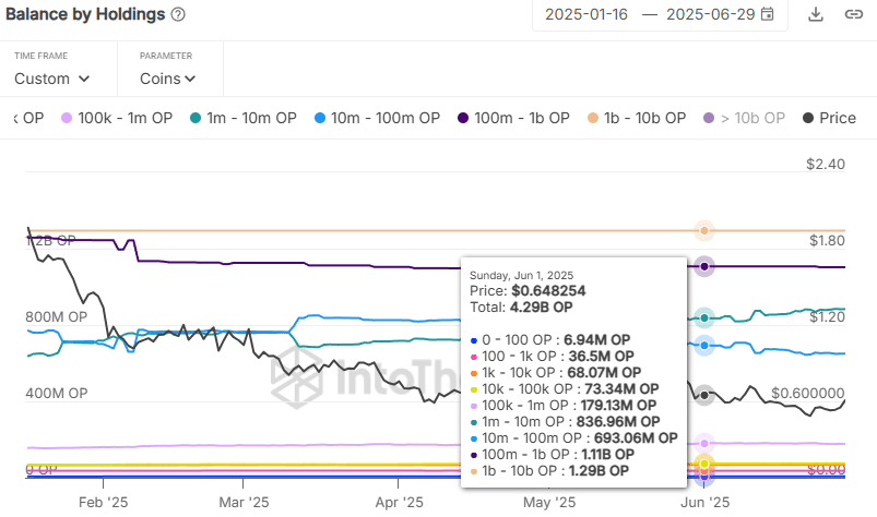 OP Balance by Holdings