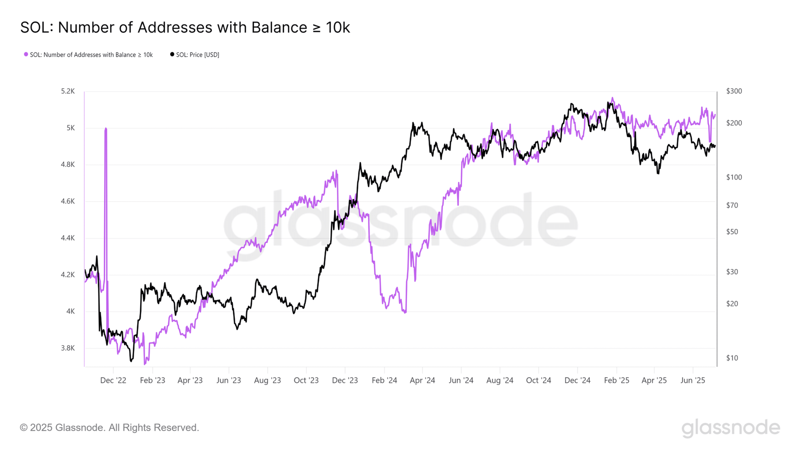 Solana Large Holders