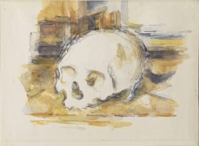 A watercolor sketch of a skull.