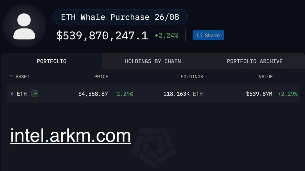 Ethereum Whale Portfolio | Source: Arkham