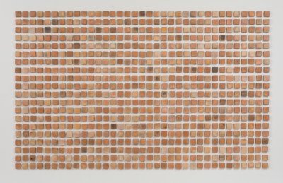 A grid of bricks in different shades of brown.