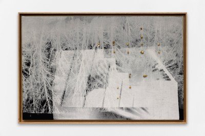 A textile printed with images of trees.