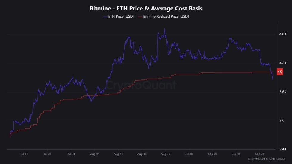 BitMine Ethereum Average Cost Basis | Source: Maartunn