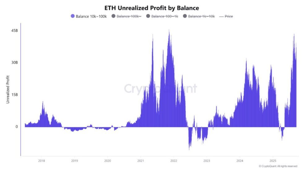 Ethereum Unrealized Profit by Balance | Source: CryptoQuant