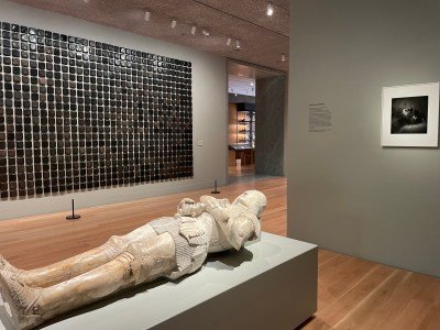 Interview view of Princeton University Art Museum , 2025.