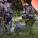 A police officer pulling a masked protester by the shoulders through a garden.
