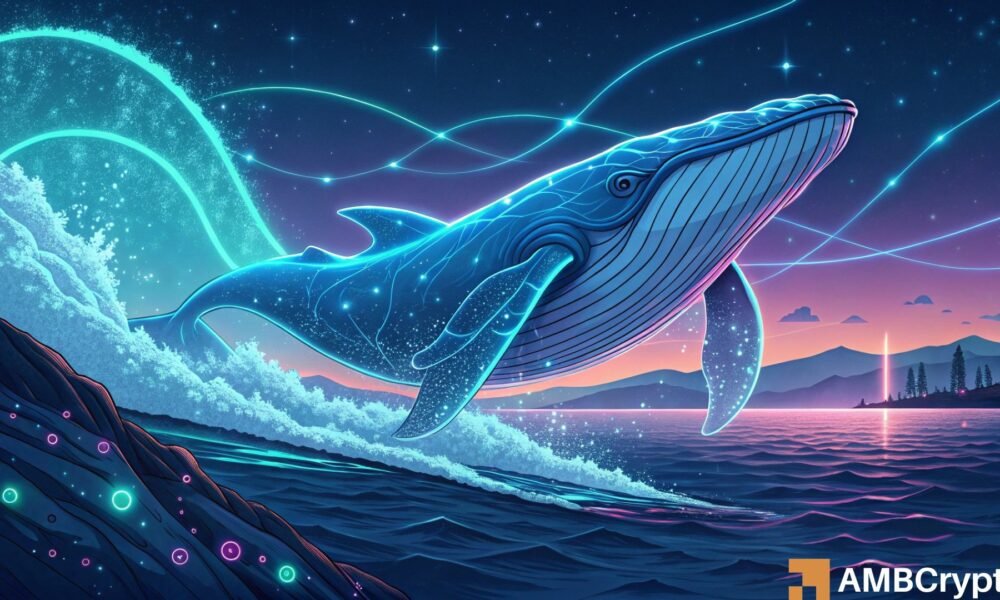 TRON: Whales dump 231M TRX – Is a $0.30 rally still on the cards?