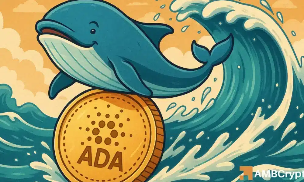 Cardano whales move 120M tokens – But ADA could rally ONLY IF…