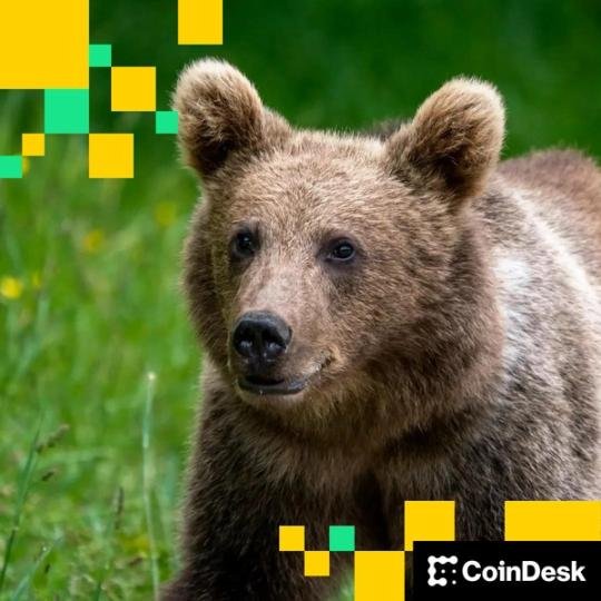 Michael Saylor’s MSTR Holds Onto Premium Amid Waning Sentiment. Can Others Do the Same?